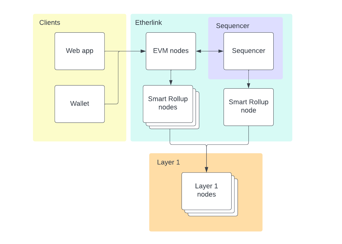 A high-level diagram of the Etherlink architecture, showing the interaction between the nodes and the sequencer